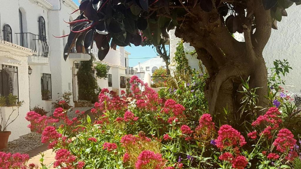 Apartamento Capistrano Village ネルハ エクステリア 写真